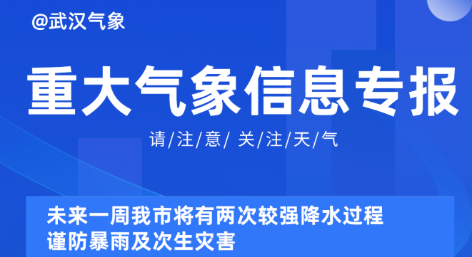 2024新奥精准正版资料,探索未来，揭秘2024新奥精准正版资料的重要性与价值