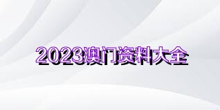 新澳门资料大全正版资料2023,新澳门资料大全正版资料的探讨与警示——远离赌博犯罪，珍惜人生机会