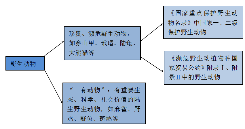 7777788888马会传真,探索数字奥秘，马会传真与数字世界的新纪元