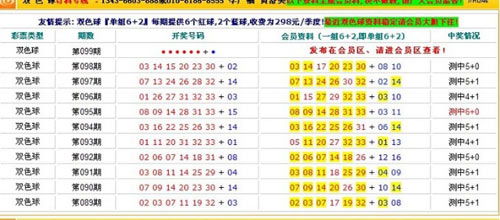 2025年1月 第46页