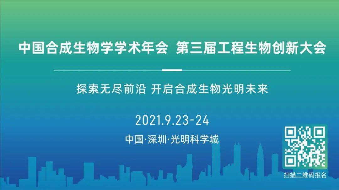 2025新澳免费资料40期,探索未来之门，新澳免费资料四十期展望（2025版）